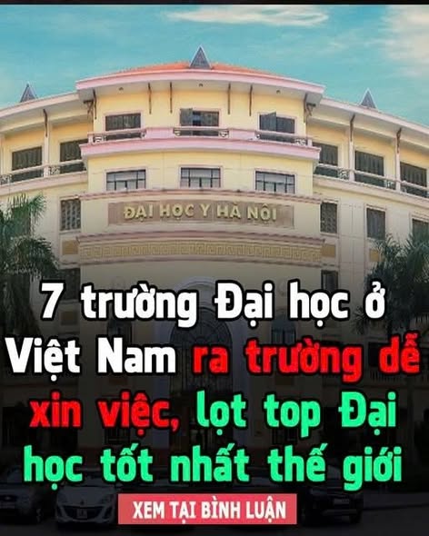 7 trường Đại học ở Việt Nam ra trường dễ xin việc, lọt top Đại học tốt nhất thế giới