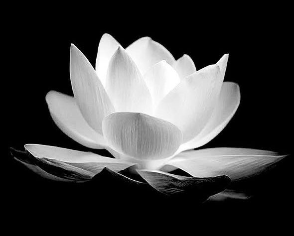 ‘Triển Chiêu’ đẹp nhất màn ảnh qu;a đ;ờ;i