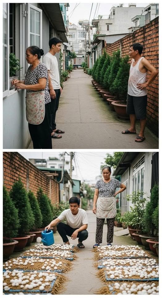 Người hàng xóm á///c ý trồng cây che ánh sáng nhà tôi, còn h//ả h//ê nói: “Có giỏi thì chặt đi xem nào!